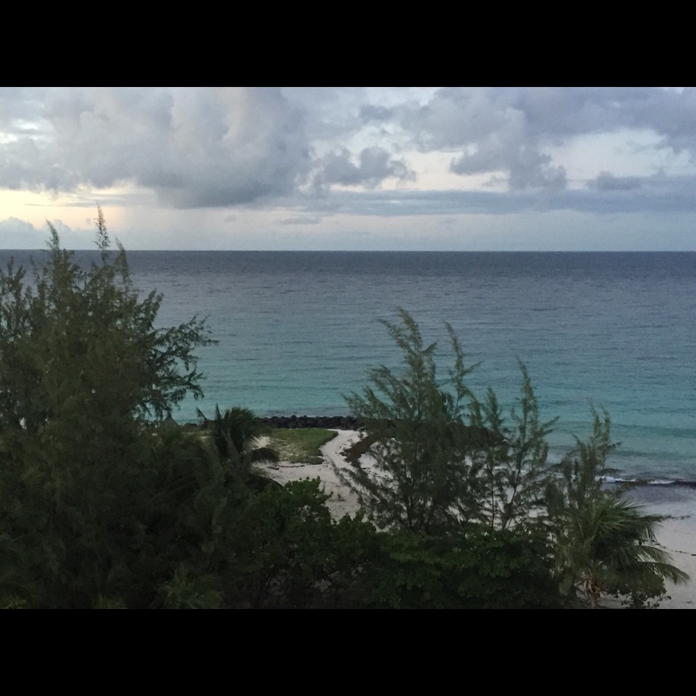 Meet your Posher, Colleen